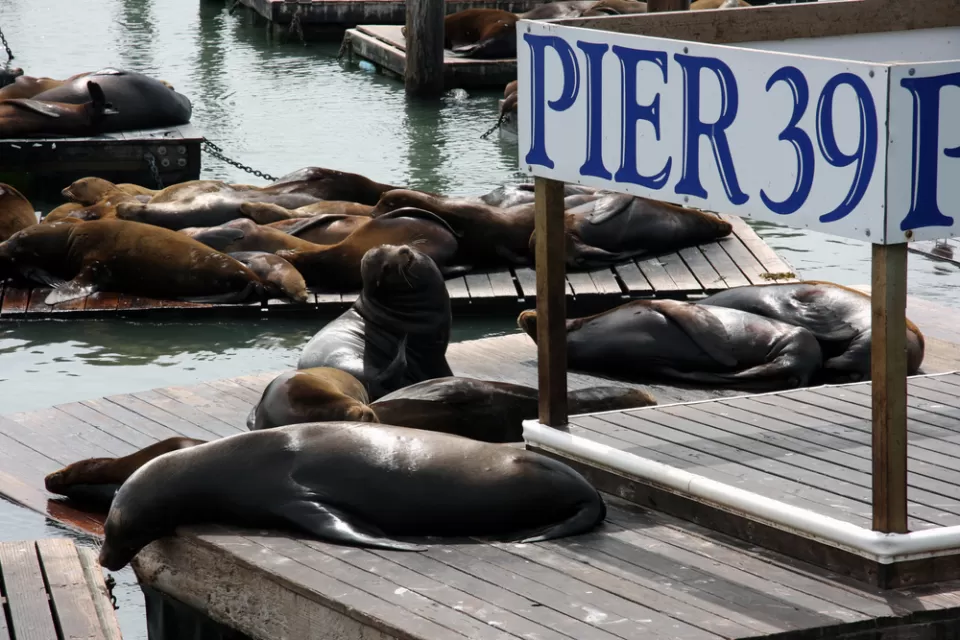 Fisherman's Wharf